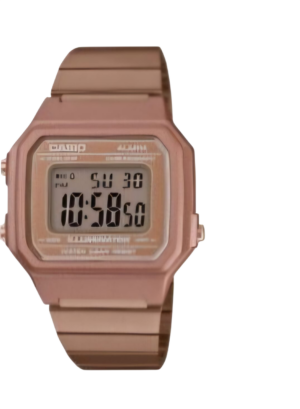 Reloj Casio B650WC-5AVT
