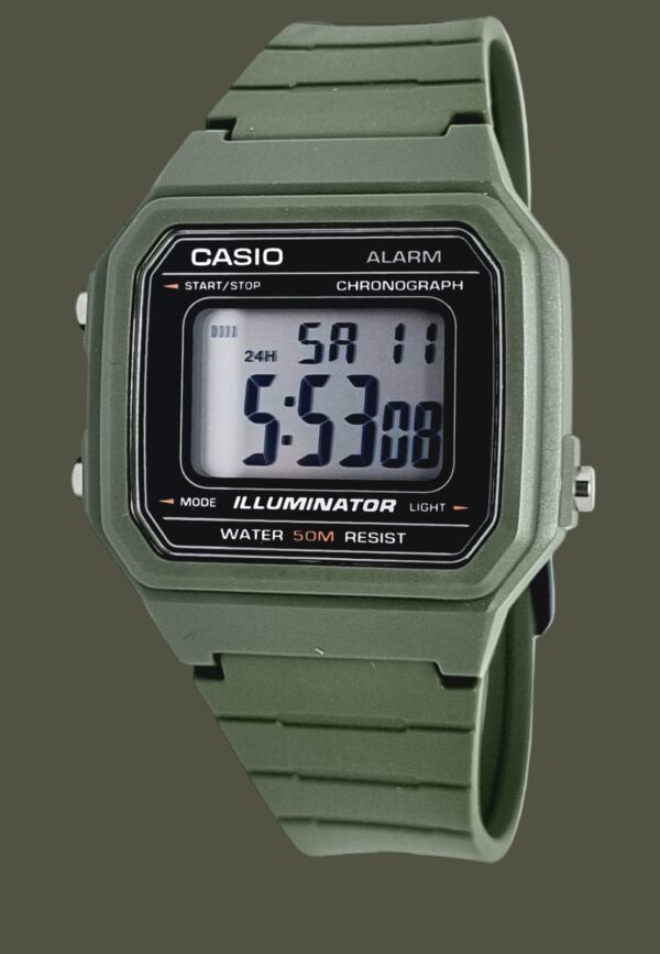 Reloj Casio W-800H-5AVCF